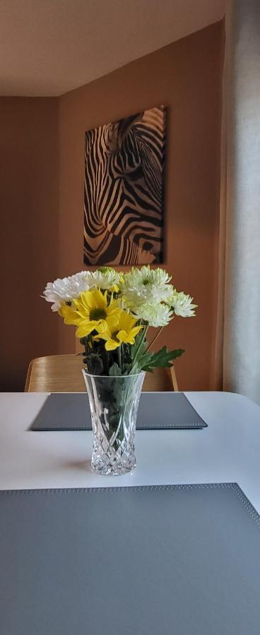 Cosy Stays Daybrook Nottingham Exteriér fotografie